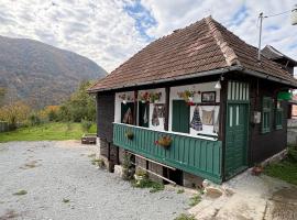 Casa Verde, hotel in Lupşa