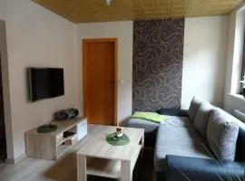 Wohnung In Ilfeld Mit Grill Und Garten