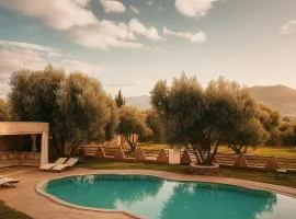 EdenAtlas Chambres d'hôtes - Amizmiz