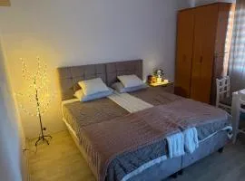 Apartman Teodora