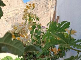 Wadi guest house, ξενοδοχείο 