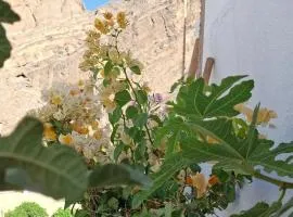 Wadi guest house