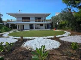 The House By The Sea - family memories strats here