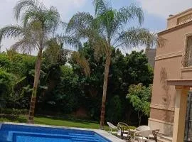 Royal Mansion with private pool in sheikh zayed Compound families