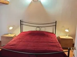 Zinfarosa Color House