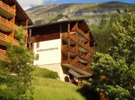 Schwarzhorn 3- komplett renoviert, tolle Aussicht!