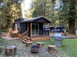The Black Bear Cabin