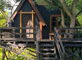 Casa Alpina del arbol