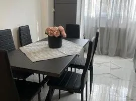 Apartamentul lui Radu