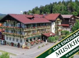 Zum singenden Musikantenwirt, hotel in Regen