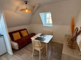 L'escale - spacieux studio - centre-ville Laval