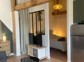 Logement neuf tout équipé avec terrasse, proche du bourg et des plages océanes, climatisé, WIFI, parking, linge et ménage compris, proche des commerces ouverts toute l'année