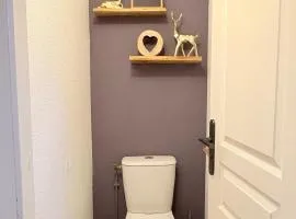 Chalet rénové, charme montagnard et confort moderne