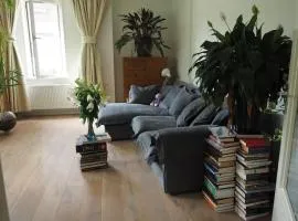 Apartment in the city centre