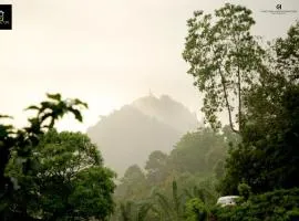 Tea Escape Holiday Villa and Cabanas