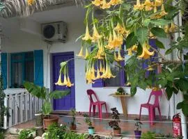 GAYA PANSİYON ÇIRALI