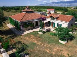 Villa Vidonjica