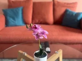 Boulevard du Roi René