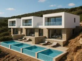 Step into a world of nature One Room Private Suite shared pool