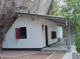 Thalpathwewa Cave Temple