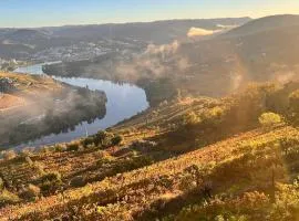 Cozy House with Douro View