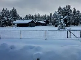 Cozy Cabin in the Pines! Close to the Polar Express, Grand Canyon & Bearizona