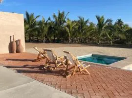 Proyecto Palmita