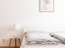 Klidný apartmán v rodinném domě v blízkosti centra