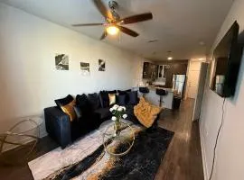 1B1B Luxury with City view