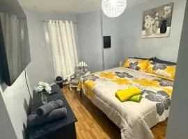 New Apt in Elizabeth Railroad Style Path Train Bus Hospital Airport NYC