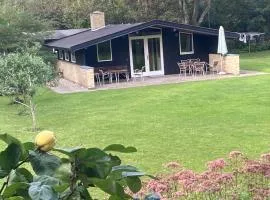 Nostalgic 1960S Idyll