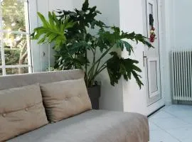 Spring Harmony Trikala Pigi