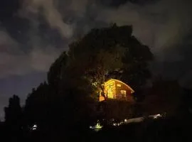 Casa del Árbol Sesquile