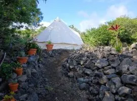 Affordable Hawai'i