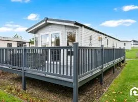 Vacant Nests Seton Sands Kings Barns Starlink