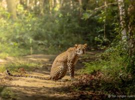 The Wandering Tusk Hostel, ξενοδοχείο σε Anuradhapura