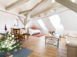 Les Appartements Saint Nicolas, hotel em Colmar