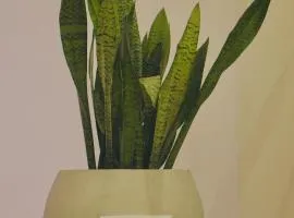 White House Group - Luxury Apartments, Matara City