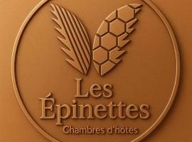 Les Epinettes chambres d'hôtes, bed and breakfast v destinaci Crèvecoeur-le-Grand