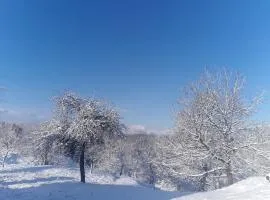 Ferienhaus Für 4 Personen Ca 65 M Sup2 In Brod Moravice, Gespanschaft Primorje Gorski Gorski Kotar