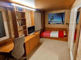 Single Room In Very Quiet & Cosy House With Garden, homestay in Dübendorf