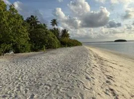 Coconut Palm Dhidhoo