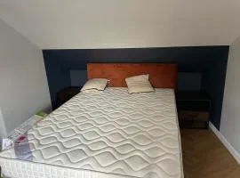 Loft industriel - hyper centre cambrai