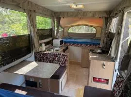 Onsite van in Medlow Bath