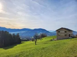 Blickfang Bregenzerwald