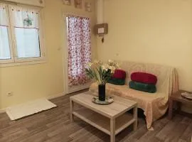 Près Gare T2 42m2 avec jardinet-terrasse 10m2