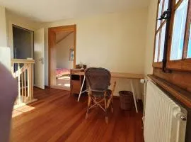 Garden Oasis In Bern