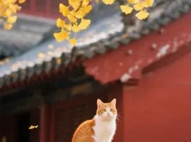 The Hutong Courtyard-Very close to Tiananmen Square,Forbidden City,Wangfujing Commercial Street,The hotel has a terrace,Free coffee,Free laundry,Near the subway st ation