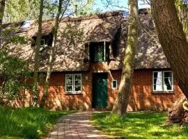 Reetdachhaus Für Erholsamen Familienurlaub