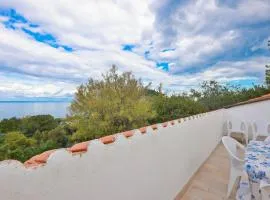 Cotoncello in una posizione panoramica - Goelba